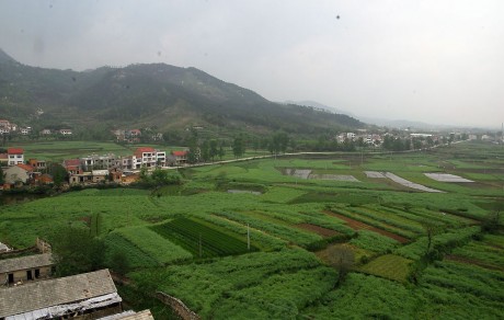 博望區(qū)新市鎮(zhèn)釜山村坑塘復墾土地承包經(jīng)營權拍賣公告